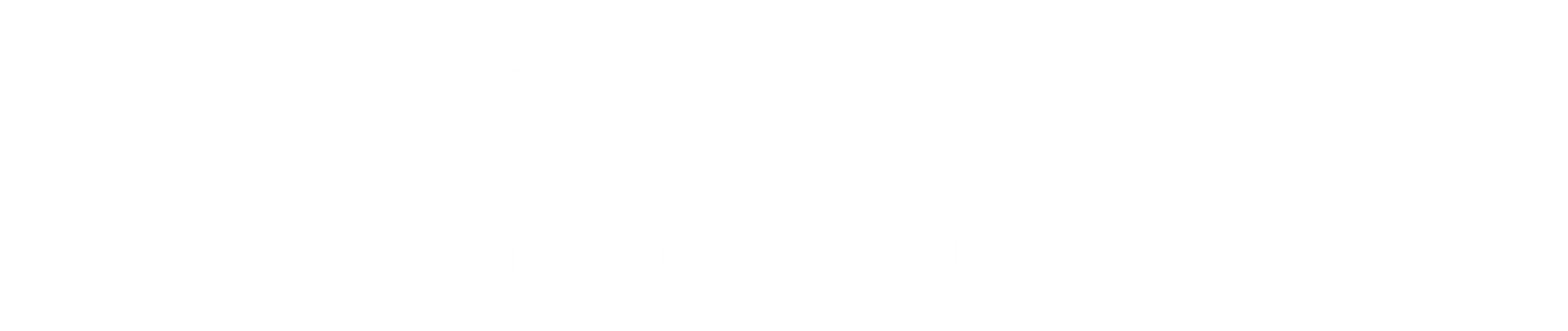Discael logo